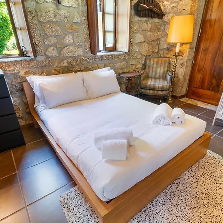 別荘 Martim With Pool & Big Garden Near Braga By Se *